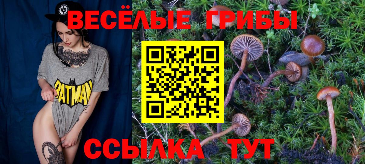 Валуйки  Галлюциногенные грибы ЛСД  Вход с VPN 