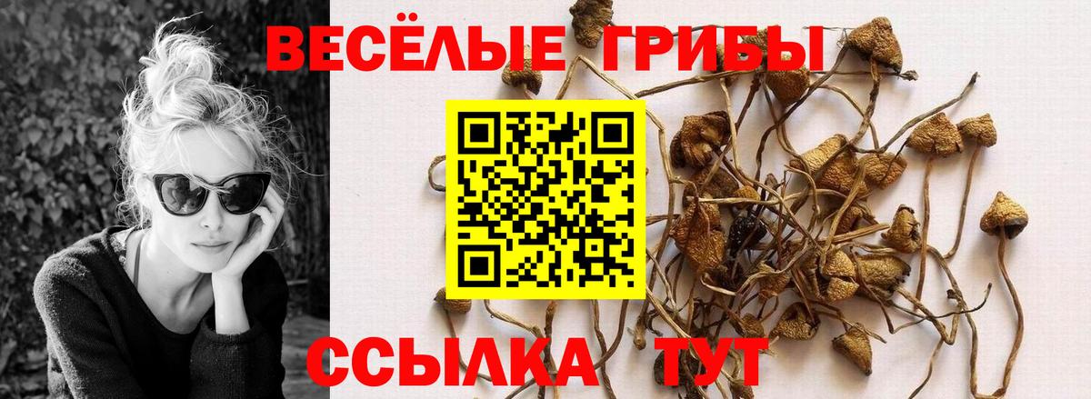 Галлюциногенные грибы Cubensis Валуйки